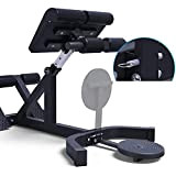 FMOPQ Weight Bench Dumbbell Bench Strength Training Exercise Bench Roman Chair Roman Stool Fitness Chair Professional Goat Body