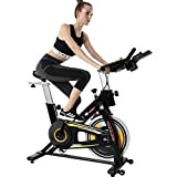 ISE Vélo d'appartement de Fitness Cardio Exercice Bike Intérieur, Poids d’inertie de 13 KG avec Programme et l'Ecran Silencieux, Guidon ...