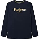 Pepe Jeans Randall, Sweat-shirt à capuche Garçon, Bleu (Dulwich), 10 ans