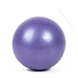 Pilates Ballon de Gymnastique, Souple Balles d'exercices Fitness Mini Ballon de Gymnastique de 25 cm Parfait pour Le Yoga Entraînement ...