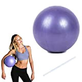 QEEROYO Yoga Balle, Ballon de Yoga, Pilates Ball, Ballon de Gymnastique, Ballon Pilates, Fitness Ballon De Gymnastique, Pilates Ball, Petit ...