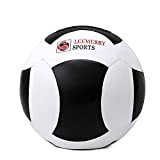 Soft Leather Wall Ball Fitness Ball Core Balance Training Ball in Home Gym Yoga Hall 3 Colors 2kg/4kg/6kg/8kg/10kg (Color : ...