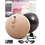 Sportstech Balle d'exercices Fitness 65cm | Home & Office | Pilates, Yoga, Grossesse & Gym à Domicile | Ballon Fitness ...