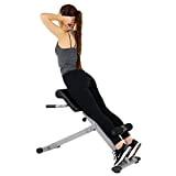 Sunny Health & Fitness Chaise romaine Hyperextension à 45 degrés, acier, gris, taille unique