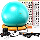 Swiss Ball, Ballon Grossesse, Balle de Fitness, Ballon Pilates 55 cm 65 cm 75 cm - Ballon Gym, Chaise Ballon ...