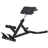 TAISK Small Dumbbell Dumbbell Bench - Roman Chair Roman Stool Fitness Chair for Home Abdominal Machine Back Muscle Training Dumbbell ...