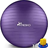TRESKO® Ballon de Gymnastique | Anti-éclatement | Boule d'assise | Balle de Yoga | Balles d'exercices Fitness | 300 kg ...
