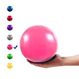 Vaupan Mini Balle d'exercice 22,9 cm Petit Ballon de Gym avec Paille Gonflable pour Yoga, Pilates, stabilité, Barre, thérapie Physique, ...