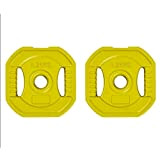 YBYB Disques de Poids Levage Exercice Poids Plaque d'haltères Plaques 28 mm Centre d'haltères for la Maison Gym Fitness Femme ...